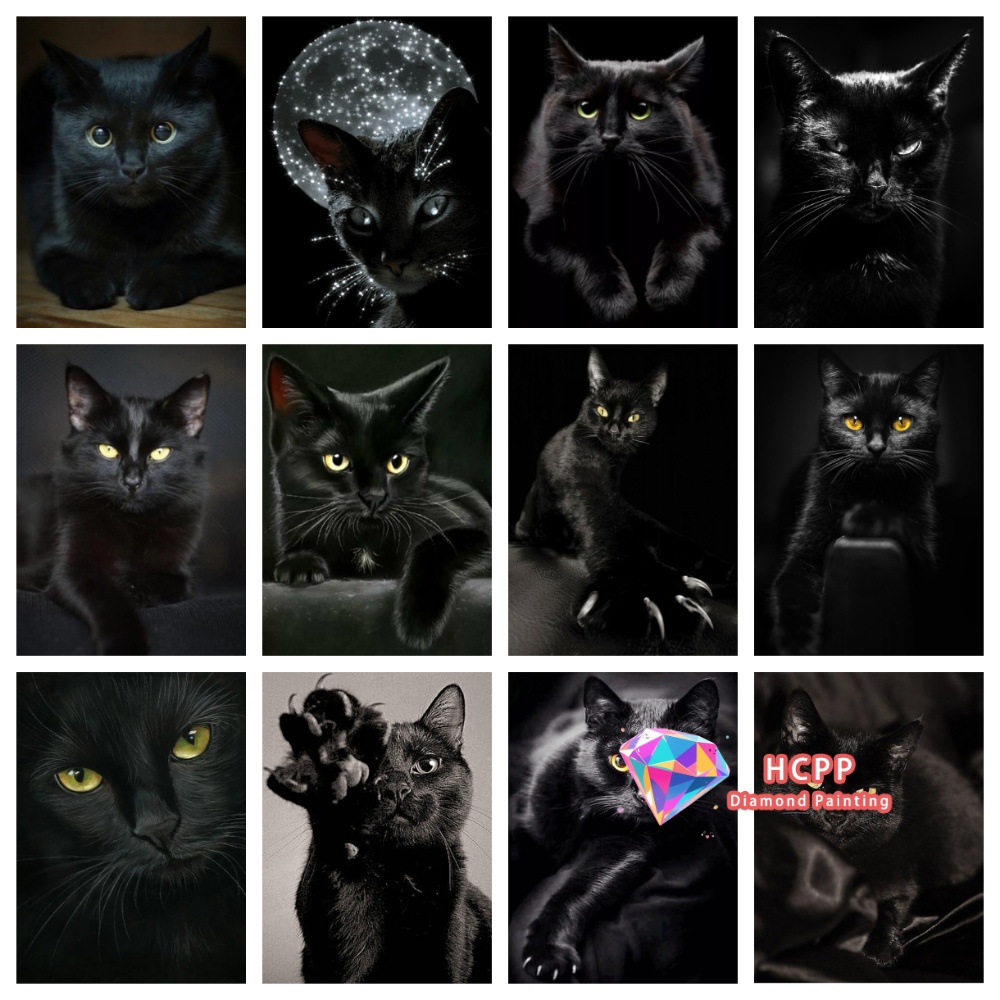 unframe Black Cat Animal Diamo - Art Y Craft บทวิจารณ์และราคา