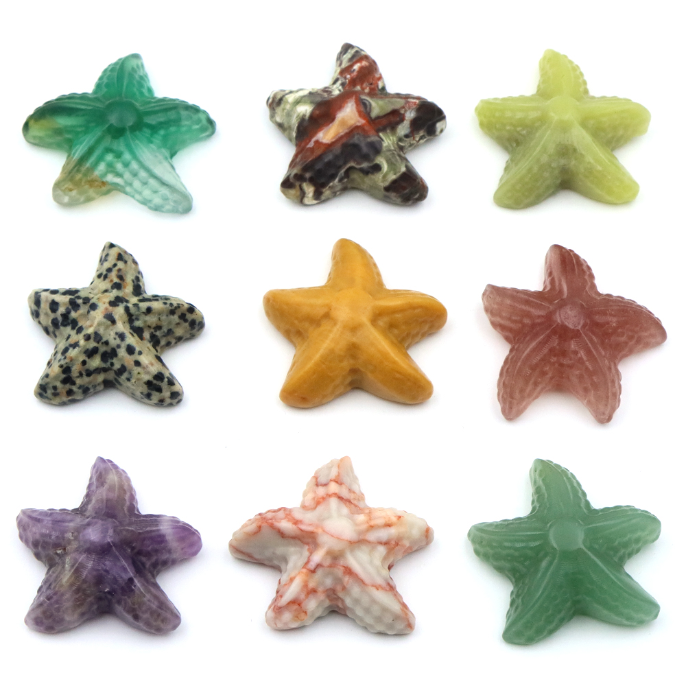 35mm Starfish Shape Statue Mar - Art Craft Activity บทวิจารณ์และราคา