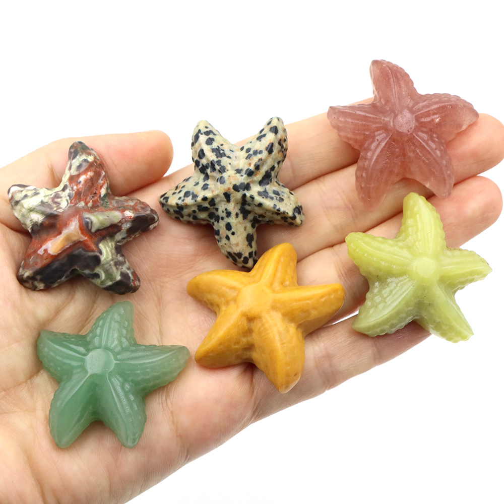 35mm Starfish Shape Statue Mar - Art Craft Activity บทวิจารณ์และราคา