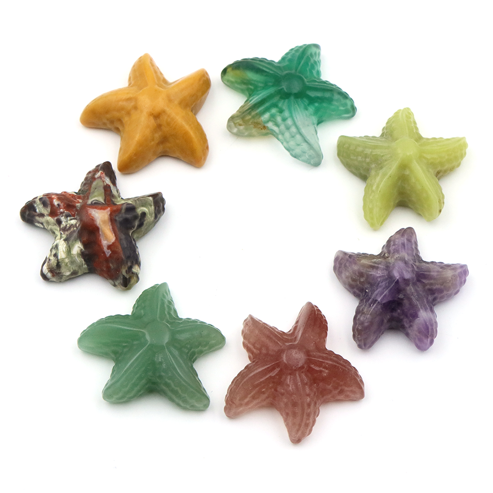 35mm Starfish Shape Statue Mar - Art Craft Activity บทวิจารณ์และราคา