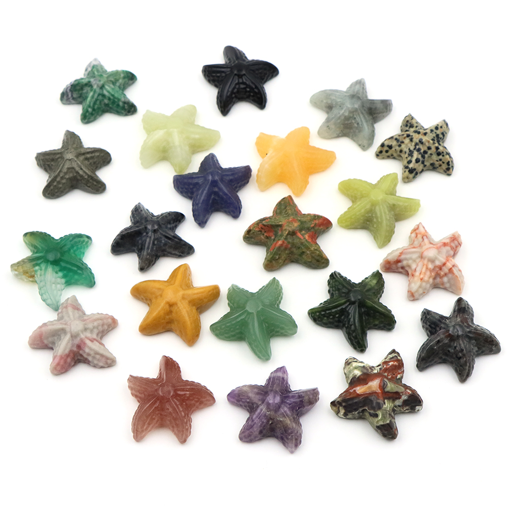 35mm Starfish Shape Statue Mar - Art Craft Activity บทวิจารณ์และราคา