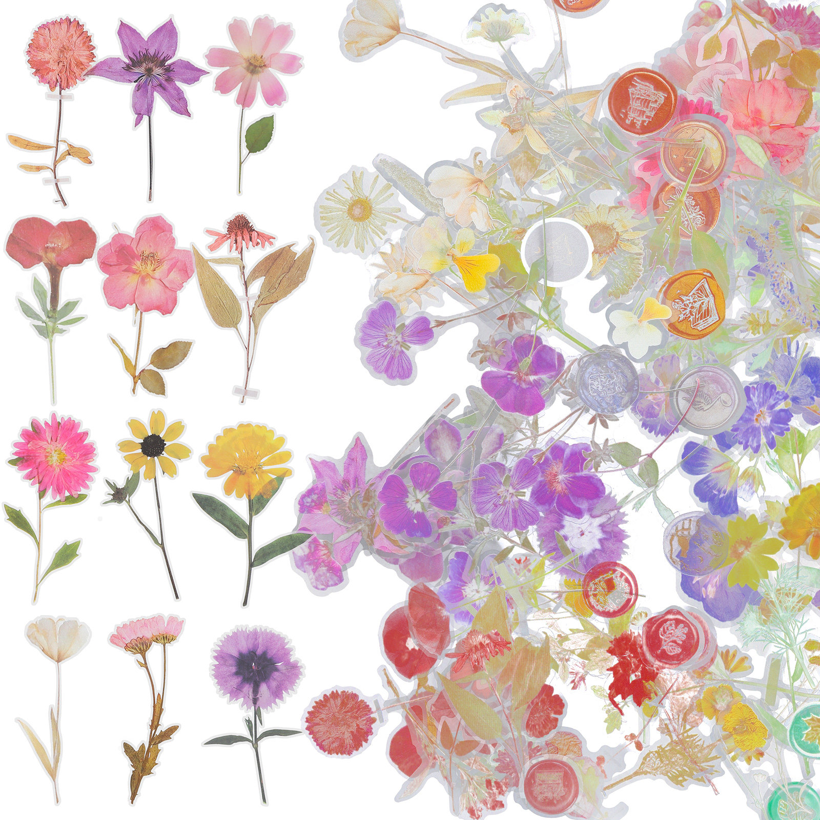 6 Packs Dried Flower Stickers  - Art Craft Journals บทวิจารณ์และราคา