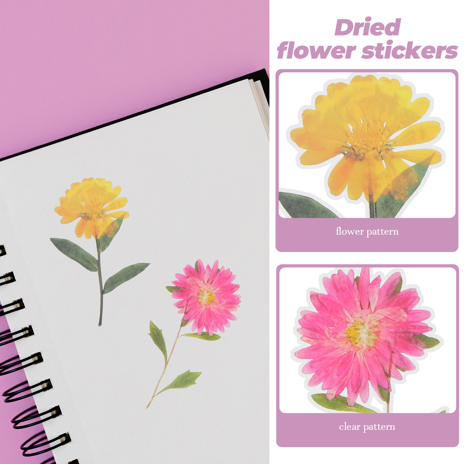 6 Packs Dried Flower Stickers  - Art Craft Journals บทวิจารณ์และราคา